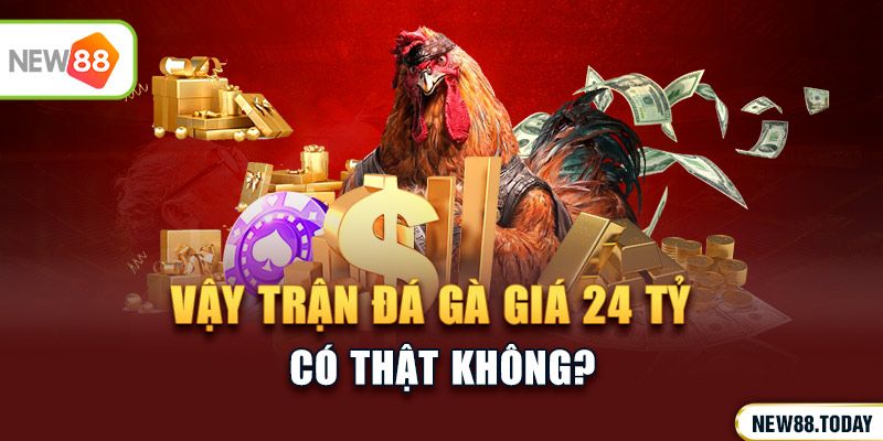 Vậy trận đá gà giá 24 tỷ có thật không?